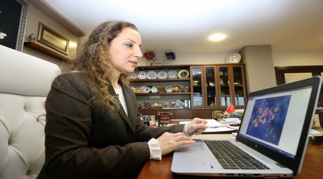 AA'nın "Yılın Fotoğrafları" oylaması