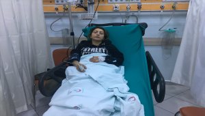Açlık grevi yapan hayvansever hastaneye kaldırıldı