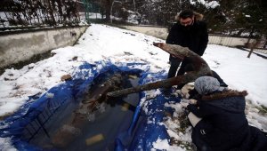 Ağa takılan tarihi çapa su altına ışık olacak