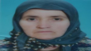 Amasya'da bir kişi evinde ölü bulundu