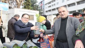 Bafra'da 50 meşe fidanı dağıtıldı