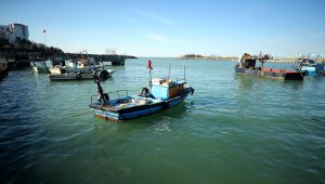 Balık rotasını Doğu Karadeniz'e çevirdi