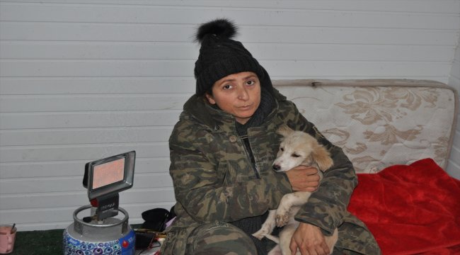 Bartın'da hayvansever kadının açlık grevi