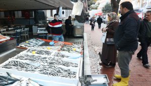 Deniz suyu sıcaklığı hamsiyi erken göçe zorluyor