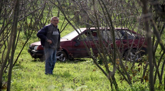 Direksiyonda uyuyunca fındık bahçesine girdi