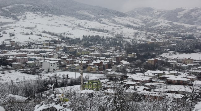 Final sınavları öncesi öğrencilere "hamsi dopingi"
