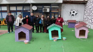 Erbaa'da öğrenciler sokak hayvanları için kolları sıvadı