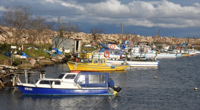 "Hamsi fiyatı yükselmeden ve bol iken tüketin" önerisi