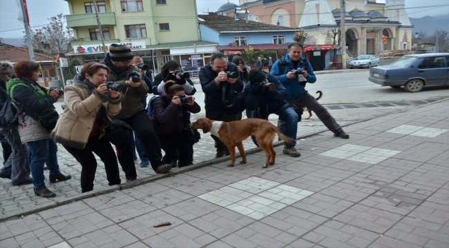 Hanönü’nü fotoğrafladılar