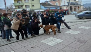 Hanönü’nü fotoğrafladılar