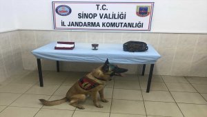 Jandarmadan uyuşturucu operasyonu
