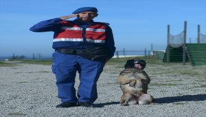 Jandarmanın göz bebekleri, huzura katkı sağlıyor