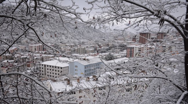 Karadeniz'de soğuk hava ve kar, yaşamı olumsuz etkiliyor
