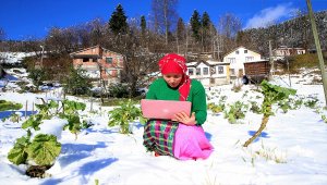 Karadeniz kadınları, AA'nın "Yılın Fotoğrafları"oylamasına katıldı