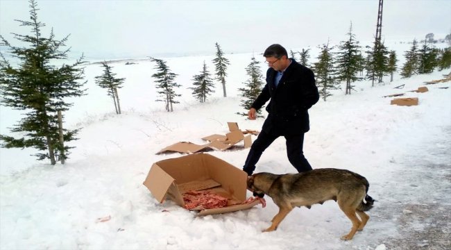 Minik öğrencilerden sokak hayvanları için kermes