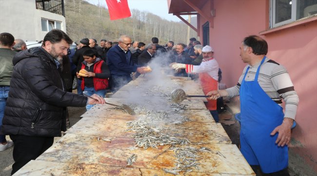 Ordu'da "Hamsi Şenliği"
