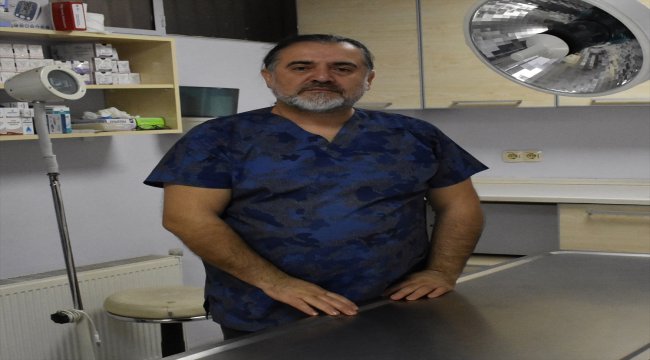 Ordu'da hayvanseverlerin dolandırıldığı iddiası