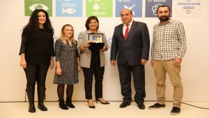 Pegasus'un "Yarınlara Uçuyoruz Projesi"ne ödül