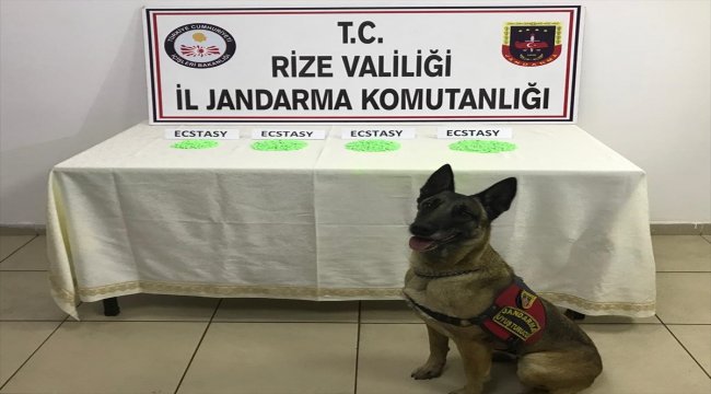 "Tek isteğimiz babamın mezarının olması"