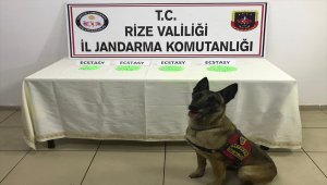 Rize'de bin 981 uyuşturucu hap ele geçirildi