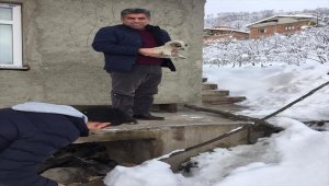 Soğuktan donmak üzere olan köpek yavruları kurtarıldı