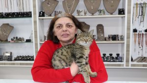Tavşanın okul duvarına asılarak derisinin yüzülmesine tepki