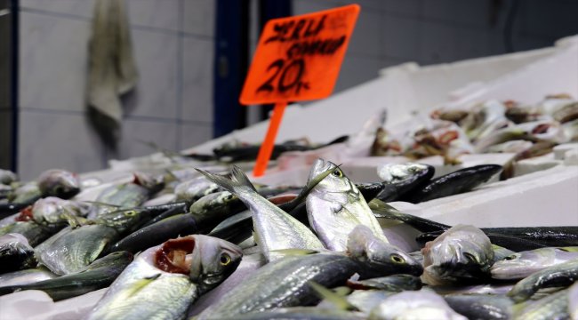 Tezgahlardaki balık çeşitliliği yüz güldürüyor