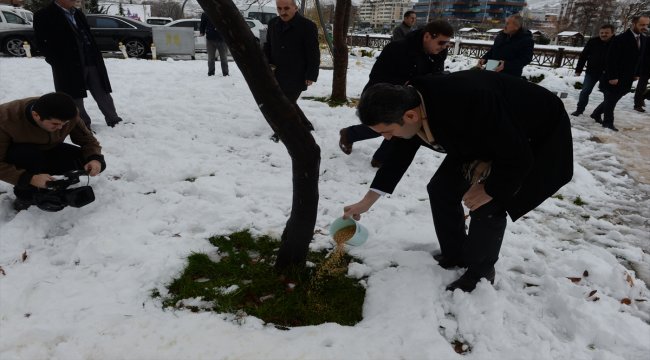 Tokat Belediye Başkanı Eroğlu, parklara yem bıraktı