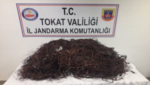 Tokat'ta kablo hırsızlığı iddiası