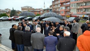 Vali Bektaş'tan, anıt ağaca ziyaret