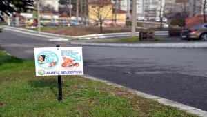 Alaplı Belediyesi sokak hayvanlarını unutmadı