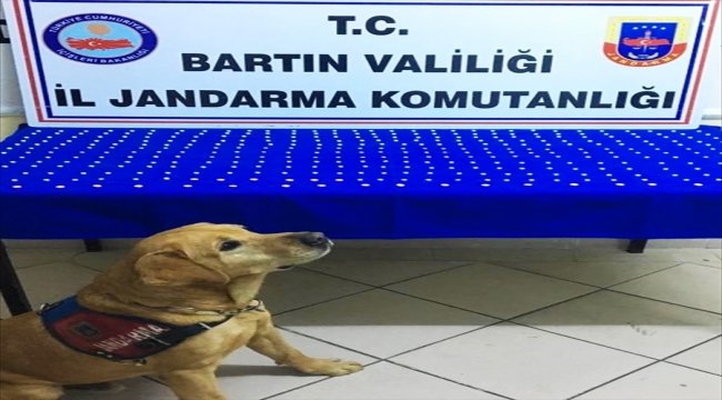 Bartın'da uyuşturucu operasyonu