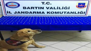Bartın'da uyuşturucu operasyonu