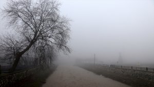 Batı Karadeniz ve Doğu Marmara'da yoğun sis