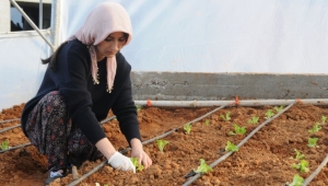 Bayburt'ta kadın çiftçilere eğitim