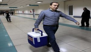 Beyin ölümü gerçekleşen kadının organları 3 hastaya umut oldu
