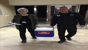 Beyin ölümü gerçekleşen kadının organları 3 hastaya umut oldu