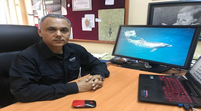 "Bir yunusun günde 70 kilo hamsi tükettiği iddiası doğru değil"