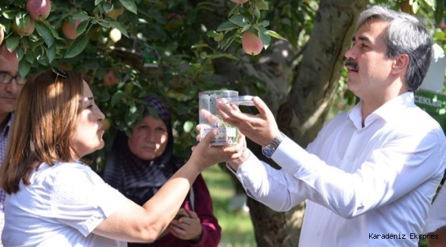 Çiftçiler ithal tarım ürünleri, zam ve kredi borçları altında ezildi