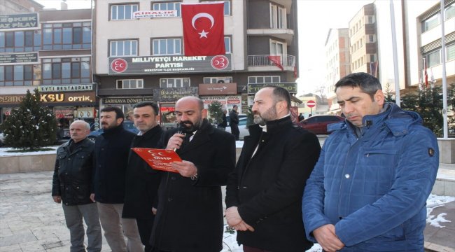 Çin'in Doğu Türkistan politikalarına tepkiler