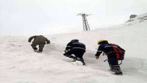 Dicle Elektrik, Mehmetçik için görev başında