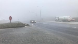 Düzce'de yoğun sis