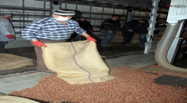 Fındık ihracatı geçen yıl 1,6 milyar dolar kazandırdı