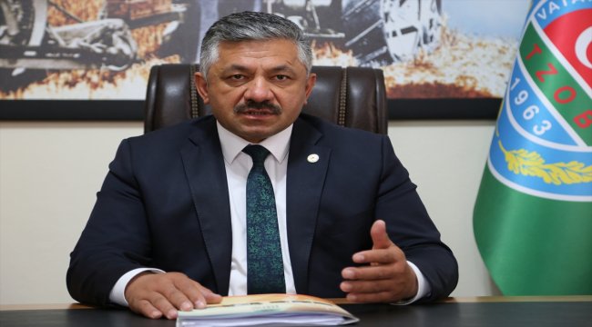 Fındık üreticilerinin gözü destekleme ödemesinde