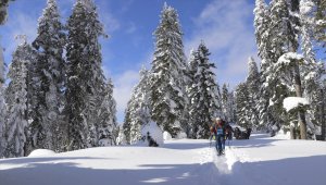 Ilgaz Dağı'na 