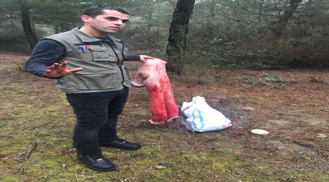 Kaçak karaca avcılığına 5 bin 292 lira para cezası