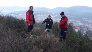 Kayalıklarda mahsur kalan köpek kurtarıldı