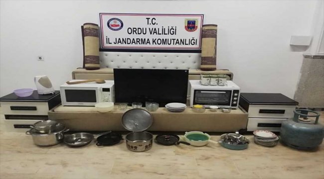 Ordu'da bağ evi hırsızları yakalandı