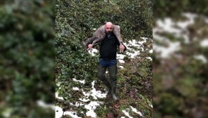 Ordu'da dereye düşen karaca kurtarıldı