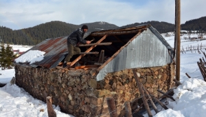 Ordu'da etkili olan şiddetli rüzgar nedeniyle bazı evlerin, kamu kurumlarının çatıları hasar gördü, ağaçlar devrildi